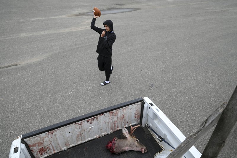 1237101b-e28c-4fd4-bf4d-c9ebc31e9dbb